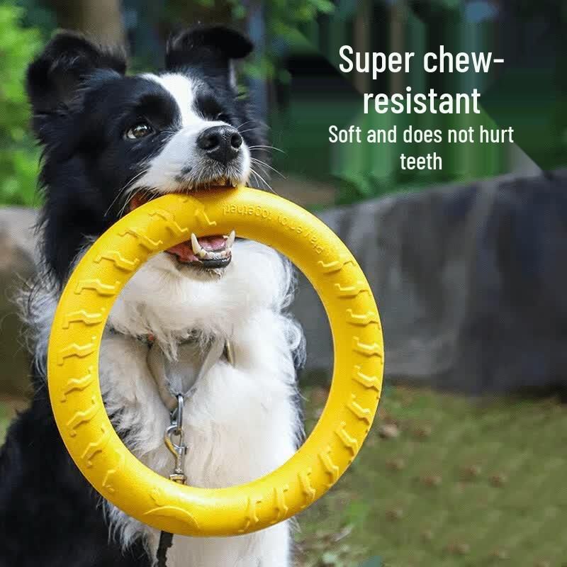 Pet Buddy Indestructible Dog Tug Ring Toy
Pet Buddy Indestructible Dog Tug Ring Toy