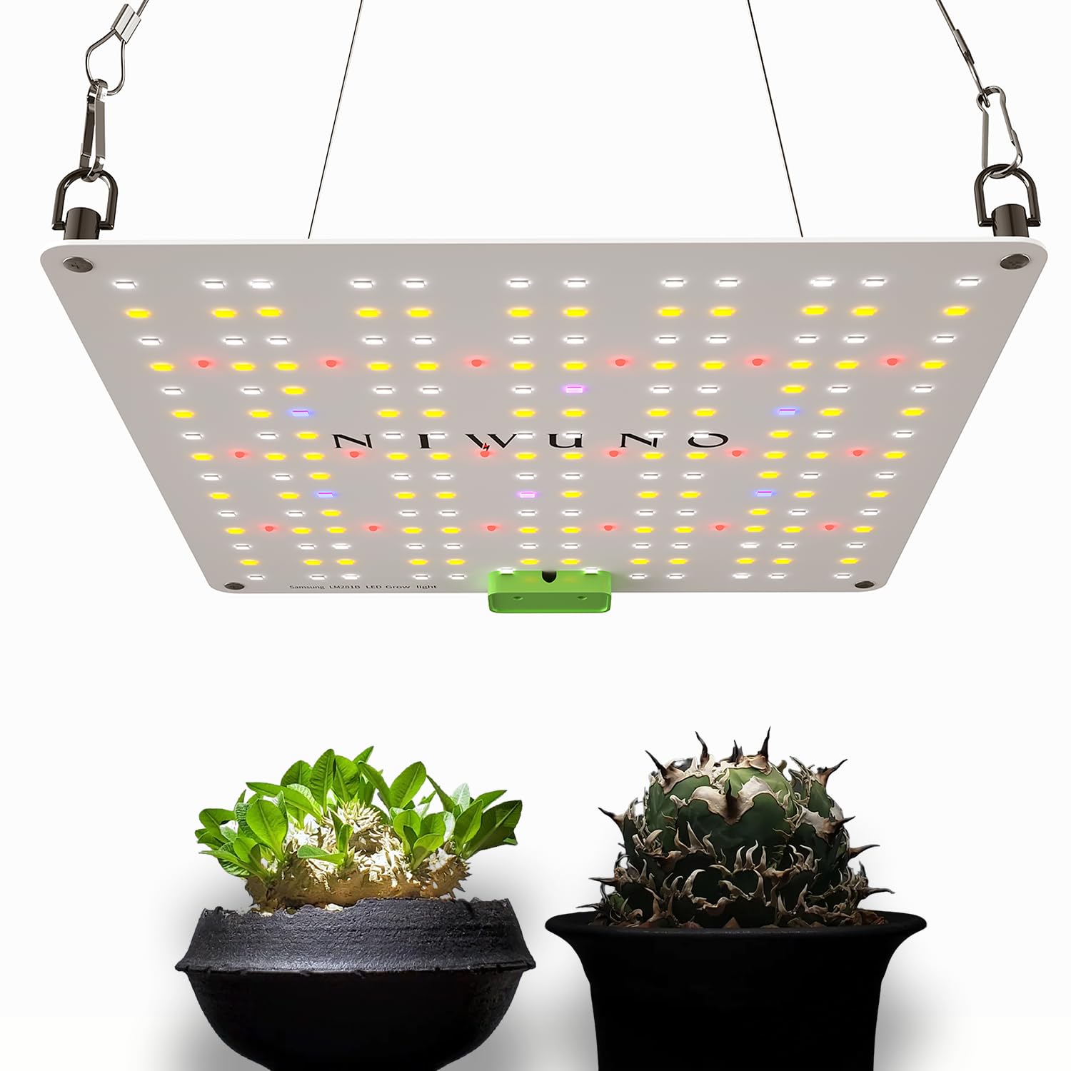 Niwuno LED Grow Light, Panel Type, UVa+IR, for Houseplants, Agave, Tuberous Roots, Aquariums, Succulents, Platycerium Ferns, and Aquariums (Includes 1
Niwuno LED Grow Light, Panel Type, UVa+IR, for Houseplants, Agave, Tuberous Roots, Aquariums, Succulents, Platycerium Ferns, and Aquariums (Includes 1