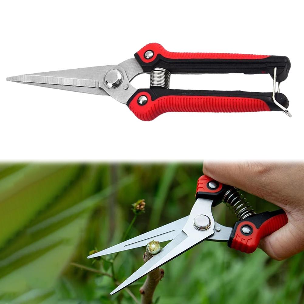 Fruit Picking Small Scissors Stainless Steel Straight Head Branch Pruning Tools Non-slip Handle for Flowers Harvesting Fruits China Mainland
Fruit Picking Small Scissors Stainless Steel Straight Head Branch Pruning Tools Non-slip Handle for Flowers Harvesting Fruits China Mainland