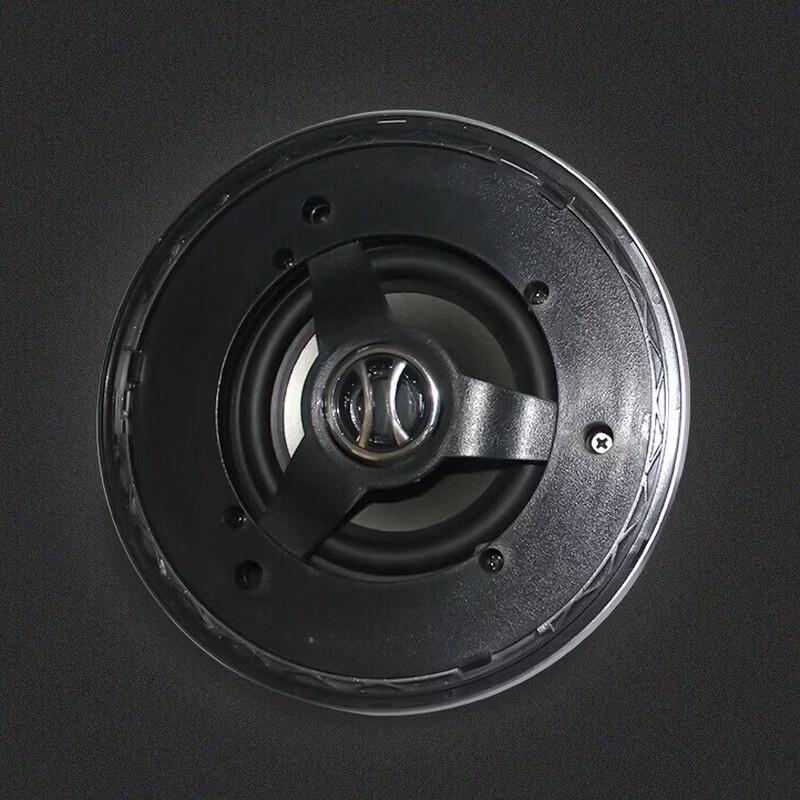 Brangdy Ceiling Speaker
Brangdy Ceiling Speaker