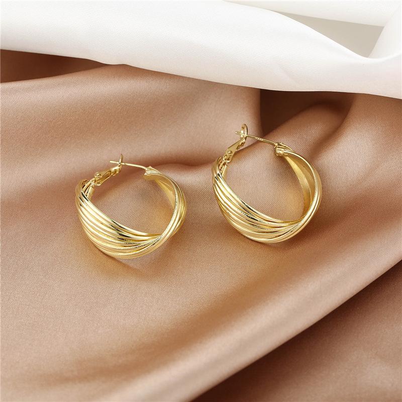 925 Silver Needle Multi-Layer Simple Earrings - Trendy, Exaggerated European & American Style
925 Silver Needle Multi-Layer Simple Earrings - Trendy, Exaggerated European & American Style