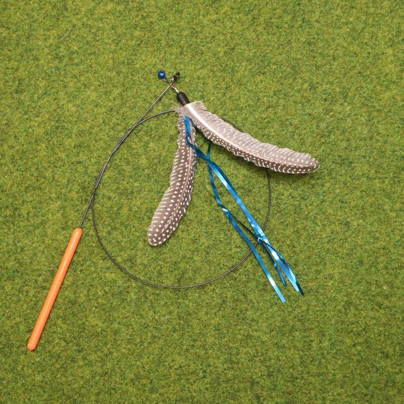 Уровень соревнований Вращающаяся летающая птица Дразнилка для кошек Симуляция Перо Насекомое Кошка Игровая удочка Сменная головка Жуки Интерактивные товары для питомцев Suit six: thin steel wire handle + Rotate birds
Уровень соревнований Вращающаяся летающая птица Дразнилка для кошек Симуляция Перо Насекомое Кошка Игровая удочка Сменная головка Жуки Интерактивные товары для питомцев Suit six: thin steel wire handle + Rotate birds