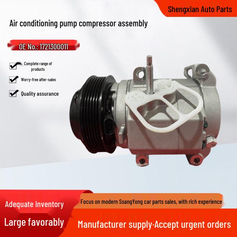 1721300011 Air Conditioning Compressor for SsangYong New Korando
1721300011 Air Conditioning Compressor for SsangYong New Korando