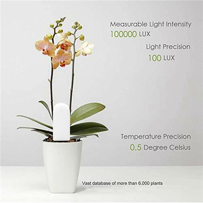 A96I-Flower Care Monitor Garden Plant Grass Soil Water Fertility Smart Tester Flower Gardening Detector
A96I-Flower Care Monitor Garden Plant Grass Soil Water Fertility Smart Tester Flower Gardening Detector