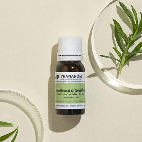 Pranarom Tea Tree Oil 10ml
Pranarom Tea Tree Oil 10ml