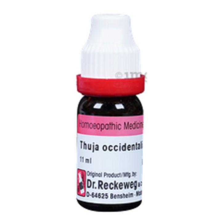 @ Dr. Reckeweg Thuja Occidentalis 30 Homeopathic Medicine 11 ml Zr-2833-60%Off
@ Dr. Reckeweg Thuja Occidentalis 30 Homeopathic Medicine 11 ml Zr-2833-60%Off