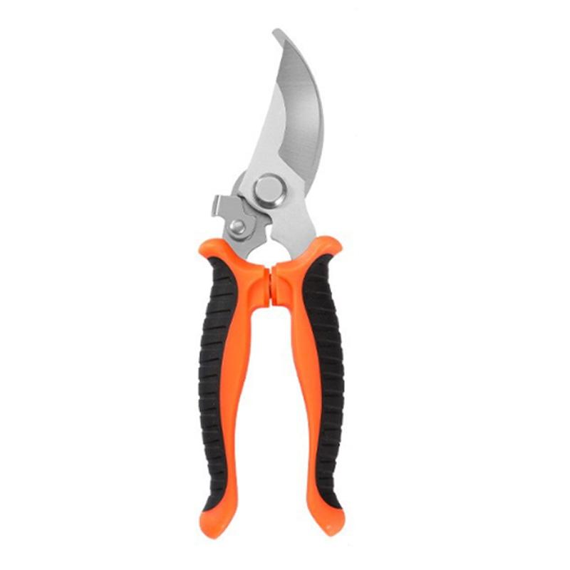 Садівничі ножиці Форма дзьоба для птахів Обрізка гілок Економія праці Обрізка Збір з нержавіючої сталі Багатофункціональні ножиці для фруктів помаранчевий
Садівничі ножиці Форма дзьоба для птахів Обрізка гілок Економія праці Обрізка Збір з нержавіючої сталі Багатофункціональні ножиці для фруктів помаранчевий