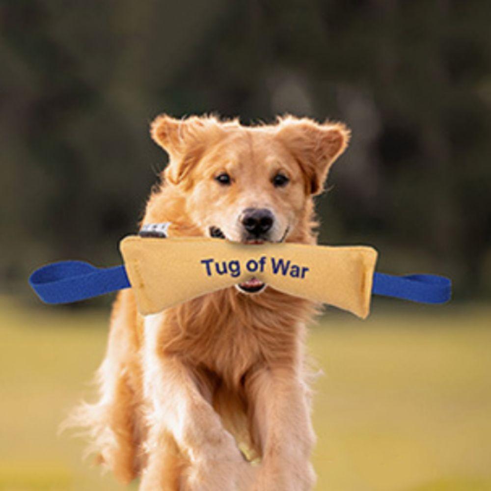 Nylon Handle Pet Tug-Of-War Toy Cotton Canvas Dog Squeaky Toy Dog Interactive Toys Cleaning Teeth жёлтый
Nylon Handle Pet Tug-Of-War Toy Cotton Canvas Dog Squeaky Toy Dog Interactive Toys Cleaning Teeth жёлтый