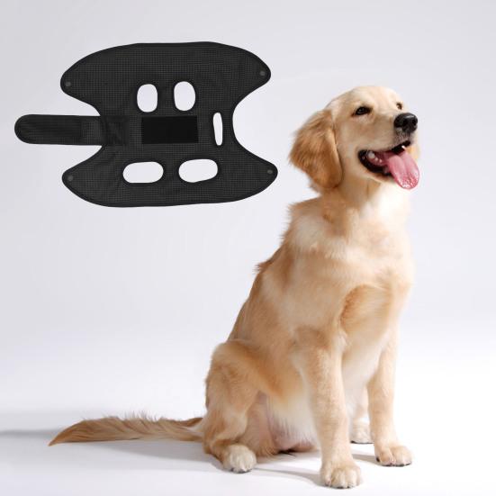 Yousheng Pet Hammock Vent Hole Fixing Tape Strong Bearing Puppy Kitten Trimming Hammock Helper Pet Accessories
Yousheng Pet Hammock Vent Hole Fixing Tape Strong Bearing Puppy Kitten Trimming Hammock Helper Pet Accessories