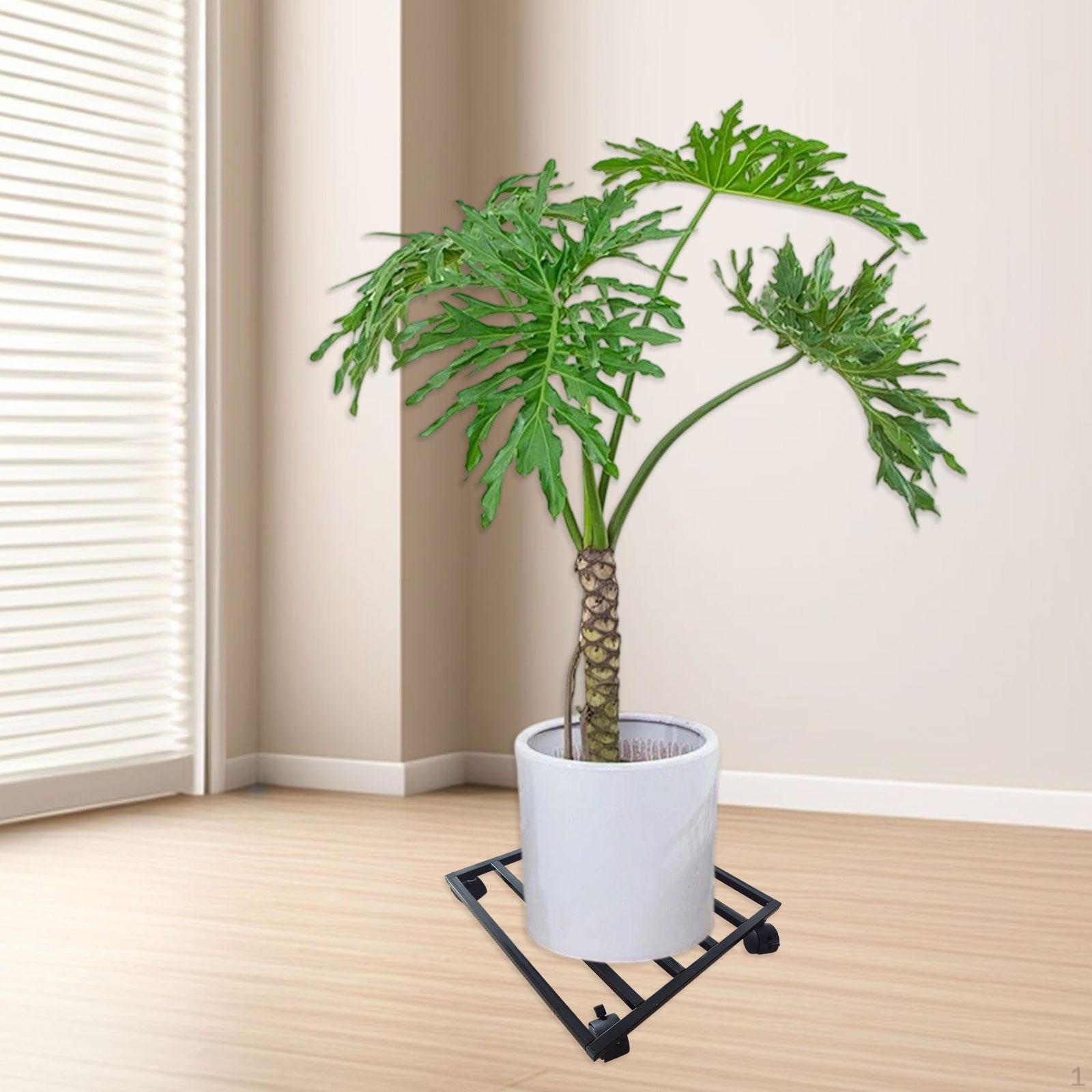 Подставка для цветочных горшков на колесиках, мобильная подставка для растений, железная стойка, роликовая база для цветочных горшков для помещений чёрный
Подставка для цветочных горшков на колесиках, мобильная подставка для растений, железная стойка, роликовая база для цветочных горшков для помещений чёрный