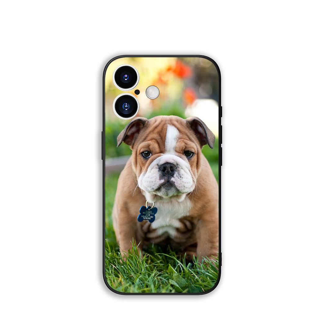 Phone Cover Dog Lovely France Bulldog Casing for Xiaomi Redmi Note 14 12 13 ProPlus A4 A3 Pro Plus 12C 13C 14C 5G + Case Redmi Note 12 Pro 4G
Phone Cover Dog Lovely France Bulldog Casing for Xiaomi Redmi Note 14 12 13 ProPlus A4 A3 Pro Plus 12C 13C 14C 5G + Case Redmi Note 12 Pro 4G