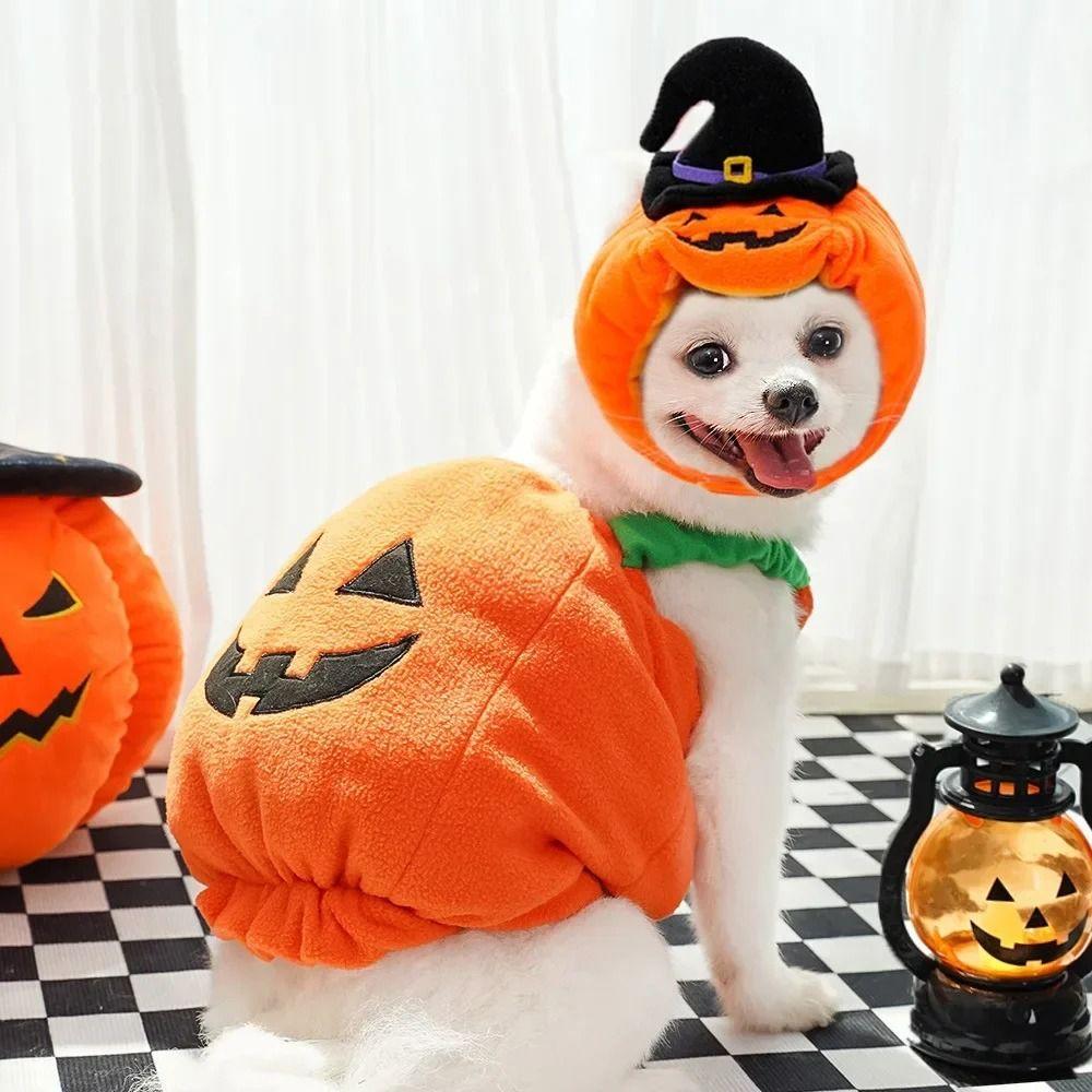 Halloween Pet Cosplay Clothes Creative Halloween Dog Hat Cute Dog Pumpkin Costume Ghost Festival XS
Halloween Pet Cosplay Clothes Creative Halloween Dog Hat Cute Dog Pumpkin Costume Ghost Festival XS