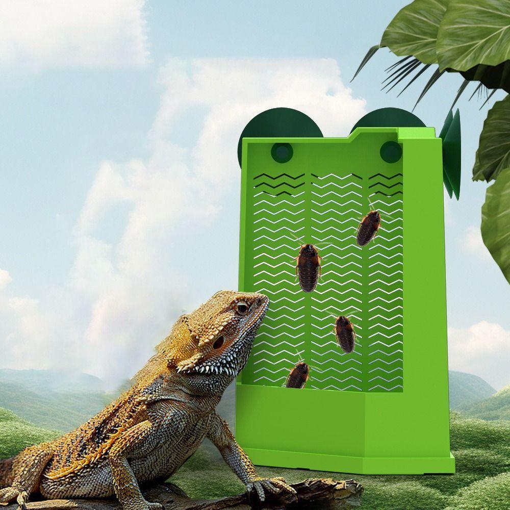 Wall Mounted Reptiles Feeder With Suction Reptiles Feeder Box Cornered Feeding Dish Outdoor S
Wall Mounted Reptiles Feeder With Suction Reptiles Feeder Box Cornered Feeding Dish Outdoor S