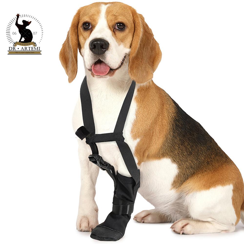 Healing Soft Dog Paws Protector Shoe Boot for Various Breeds Water Resistant After Surgeries Recovery Footwear Shoe S чёрный
Healing Soft Dog Paws Protector Shoe Boot for Various Breeds Water Resistant After Surgeries Recovery Footwear Shoe S чёрный