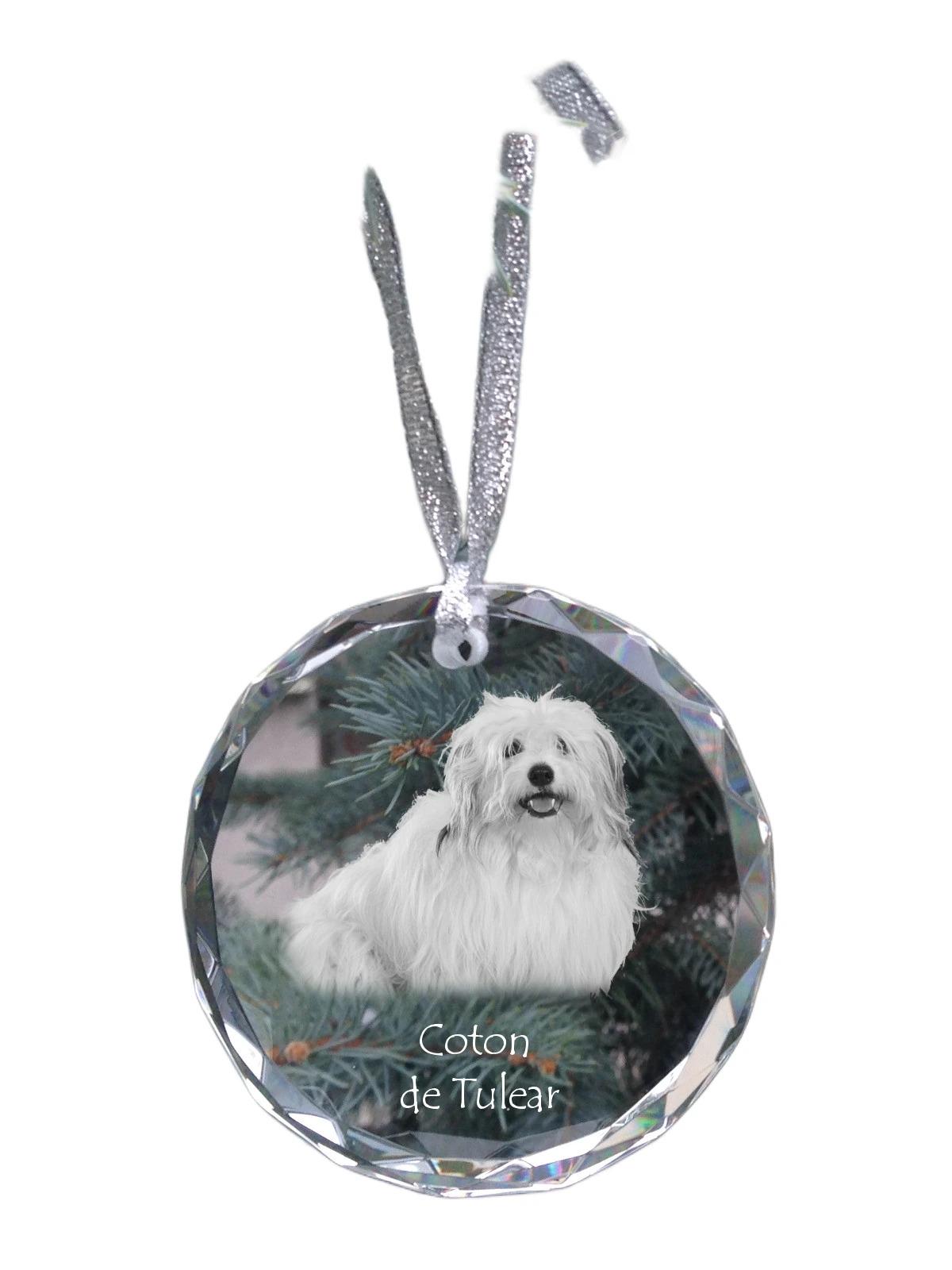 Coton de Tulear, Cotie - crystal bauble with a photo, dog photo in crystal, personalized Christmas tree ornament by Art-Dog brand прозорий
Coton de Tulear, Cotie - crystal bauble with a photo, dog photo in crystal, personalized Christmas tree ornament by Art-Dog brand прозорий