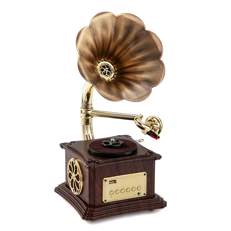 Mini gramophone, can play vinyl records, built-in speaker, 2 speeds (33/45), Bluetooth connection, FM radio, pure copper horn, exquisite and compact,
Mini gramophone, can play vinyl records, built-in speaker, 2 speeds (33/45), Bluetooth connection, FM radio, pure copper horn, exquisite and compact,