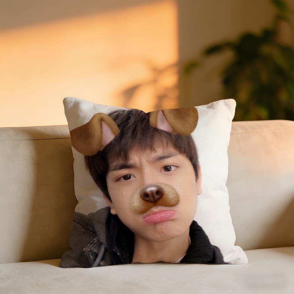 LinYi Chinese Actor Cushion Cover Cozy Velvet Throw PillowSoft Warm Cushion For Sofa Bed 30x30 cm
LinYi Chinese Actor Cushion Cover Cozy Velvet Throw PillowSoft Warm Cushion For Sofa Bed 30x30 cm