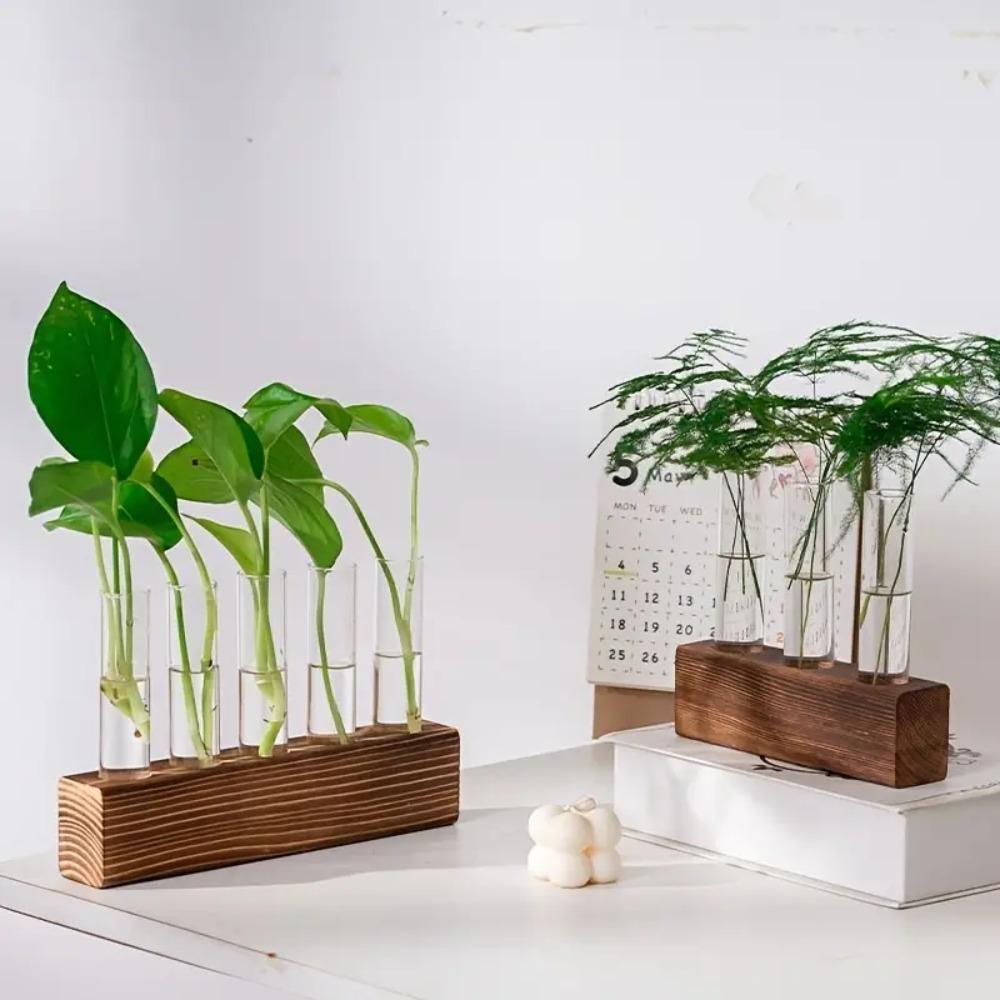 3/4/5 Test Test Tube Vases Wooden Stand Glass Tube Vases Hydroponic Plants Container Home Decor 3 Test
3/4/5 Test Test Tube Vases Wooden Stand Glass Tube Vases Hydroponic Plants Container Home Decor 3 Test