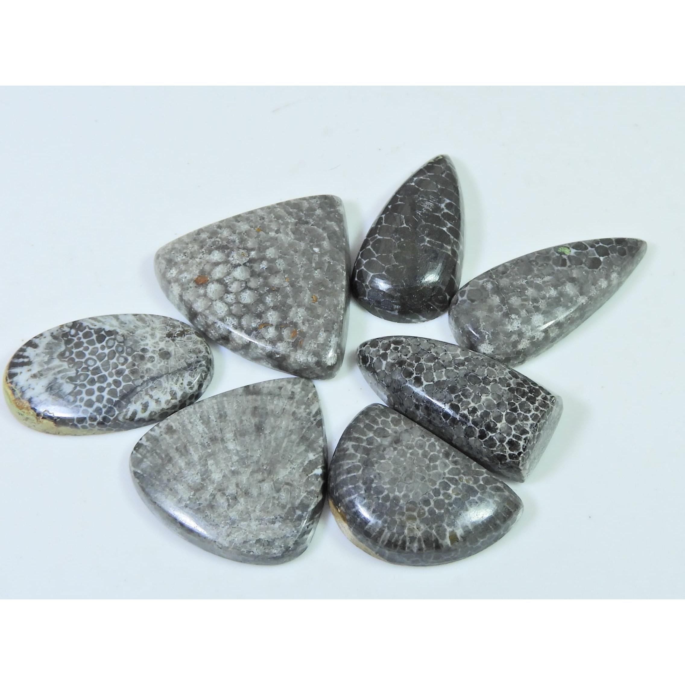 167Cts. Натуральный Черный Ископаемый Коралл Микс Кабошон Свободный Драгоценный Камень Лот 07 Шт. C-637
167Cts. Натуральный Черный Ископаемый Коралл Микс Кабошон Свободный Драгоценный Камень Лот 07 Шт. C-637