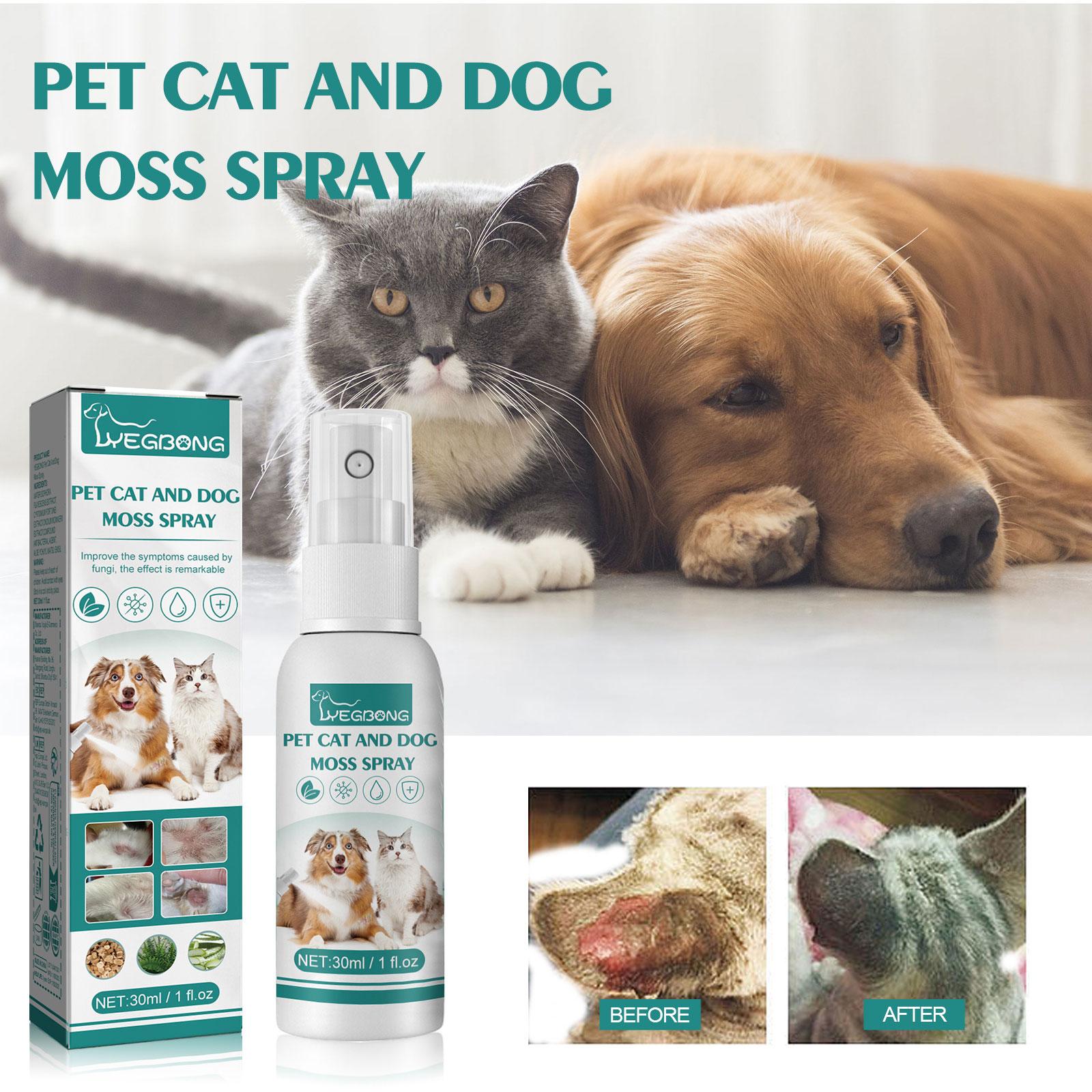 Yegbong Pet Skin Medicine Spray Cat and Dog General Purpose Remove Mites Skin Itching Hair Loss Redness and Swelling De-Itching
Yegbong Pet Skin Medicine Spray Cat and Dog General Purpose Remove Mites Skin Itching Hair Loss Redness and Swelling De-Itching