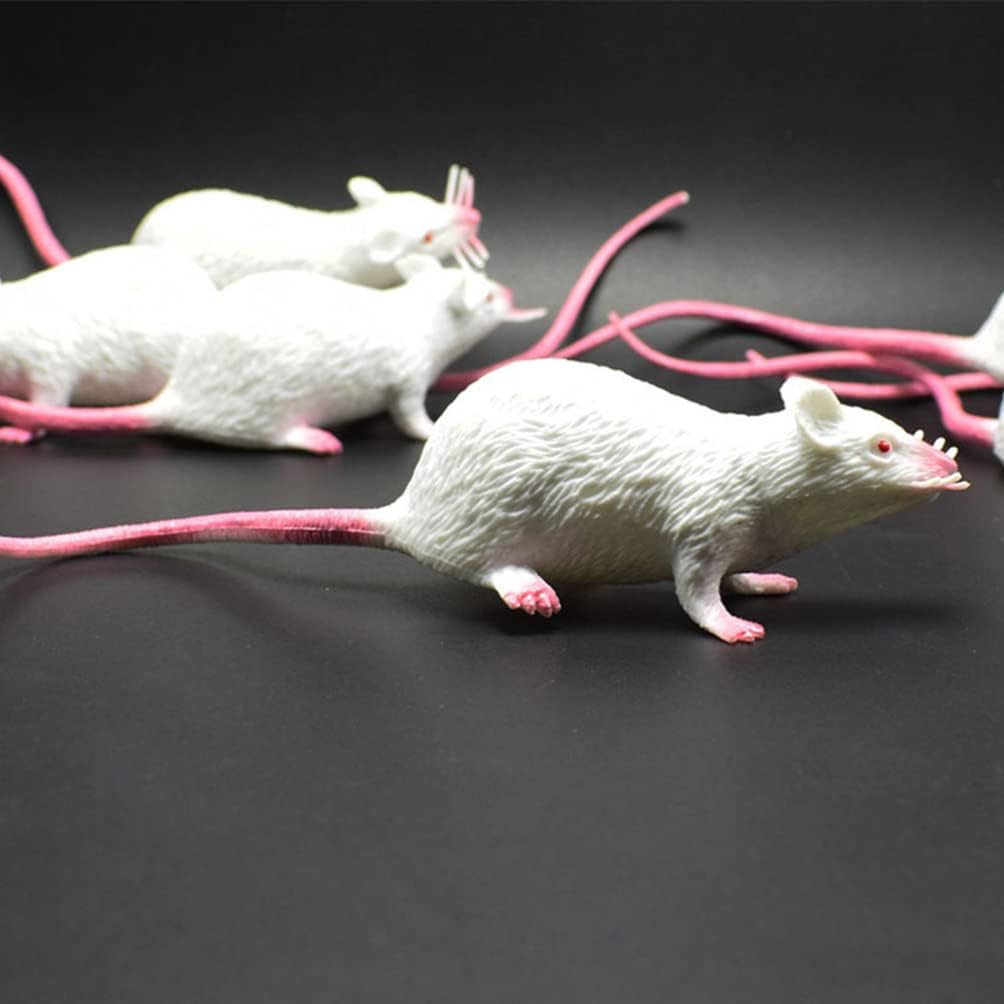 Toyvian 3pcs Fake Rat Toy Model Fake Mice Rat Prop Realistic Rat Ornament Prank Props Halloween Rat Decor
Toyvian 3pcs Fake Rat Toy Model Fake Mice Rat Prop Realistic Rat Ornament Prank Props Halloween Rat Decor