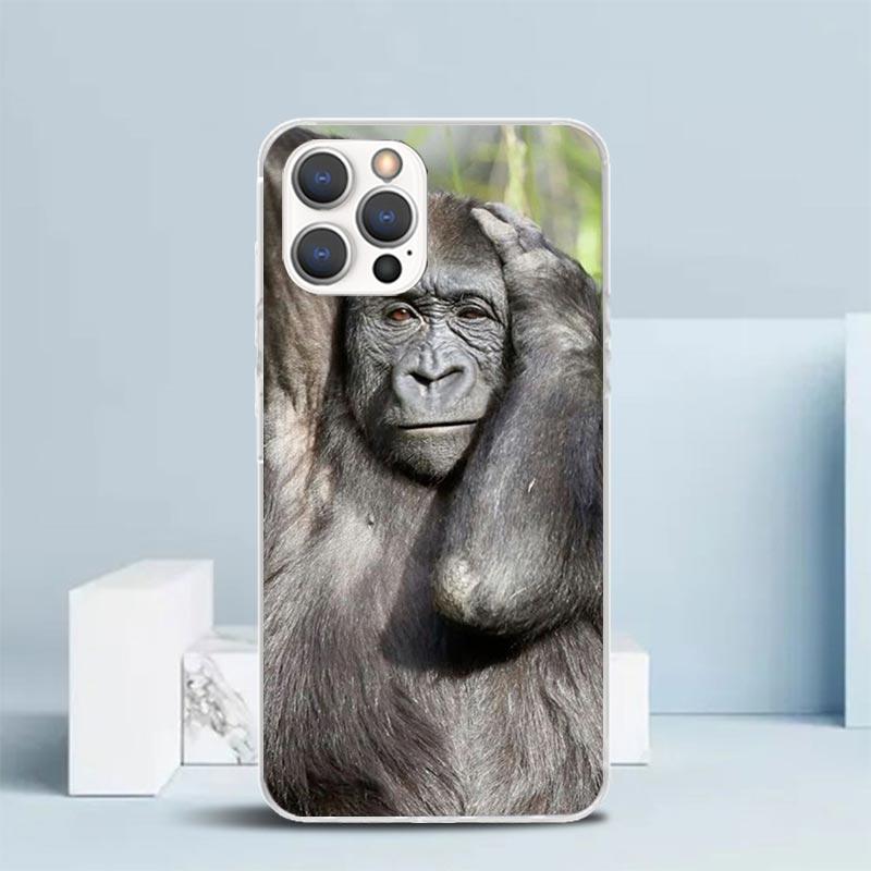 Monkey Memes Soft Cover for iPhone 16 17 Air 15 14 Pro Max 16E Phone Case 13 Mini 12 11 7 SE 8 Print Pattern Fit Cases 16 17 Air iPhone 15 Plus
Monkey Memes Soft Cover for iPhone 16 17 Air 15 14 Pro Max 16E Phone Case 13 Mini 12 11 7 SE 8 Print Pattern Fit Cases 16 17 Air iPhone 15 Plus