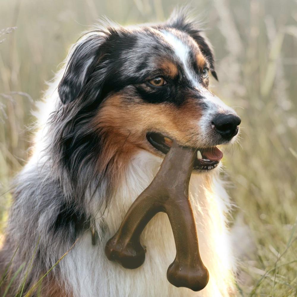 Wear-resistant Dog Chew Toy Bone Y Shape Pet Training Interactive Toy Pet Entertainment темно-коричневого кольору
Wear-resistant Dog Chew Toy Bone Y Shape Pet Training Interactive Toy Pet Entertainment темно-коричневого кольору
