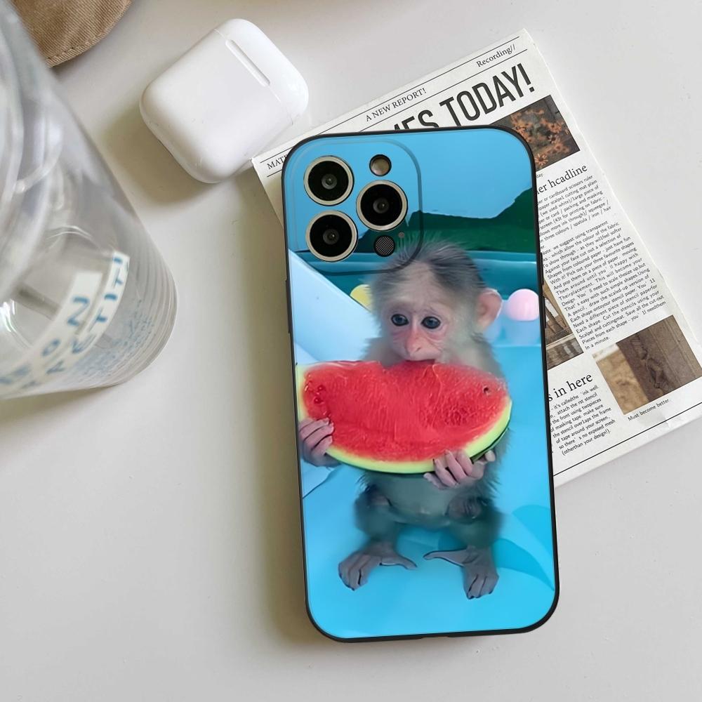 Cute Funny Monkey Phone Case FOR IPhone 15 14 11 12 Pro 15 16 Plus 13 Pro MAX XR XS Black Soft Covers iphone13
Cute Funny Monkey Phone Case FOR IPhone 15 14 11 12 Pro 15 16 Plus 13 Pro MAX XR XS Black Soft Covers iphone13
