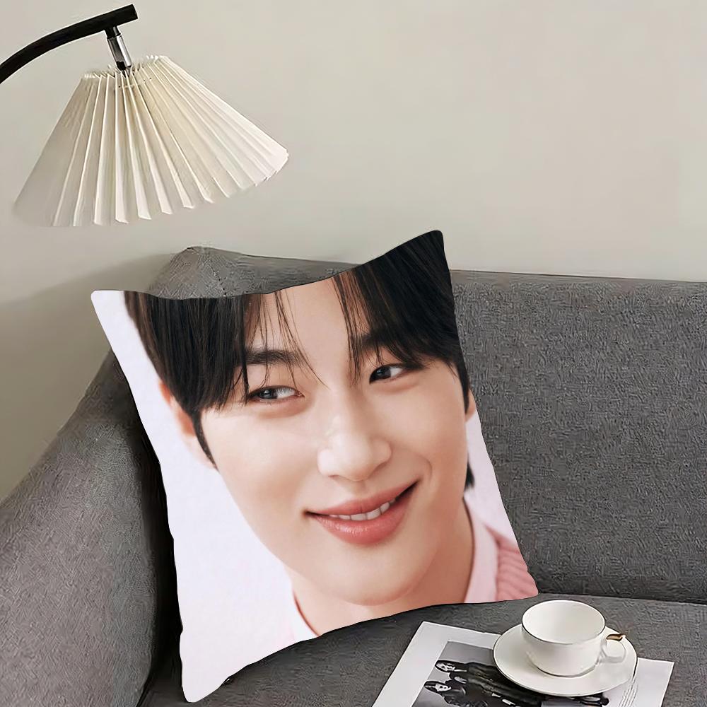 Byeon Woo-seok Cushion Cover Reversible Plush Pillow Cover – For car, sofa, bedroom, perfect as a gift. 12x12Inch
Byeon Woo-seok Cushion Cover Reversible Plush Pillow Cover – For car, sofa, bedroom, perfect as a gift. 12x12Inch