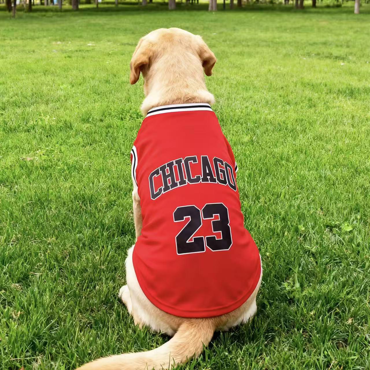 Breathable Basketball Uniform for Large Dogs - Spring/Summer Pet Vest with Sun Protection for Golden Retrievers & German Shepherds S (30-40 kg)
Breathable Basketball Uniform for Large Dogs - Spring/Summer Pet Vest with Sun Protection for Golden Retrievers & German Shepherds S (30-40 kg)