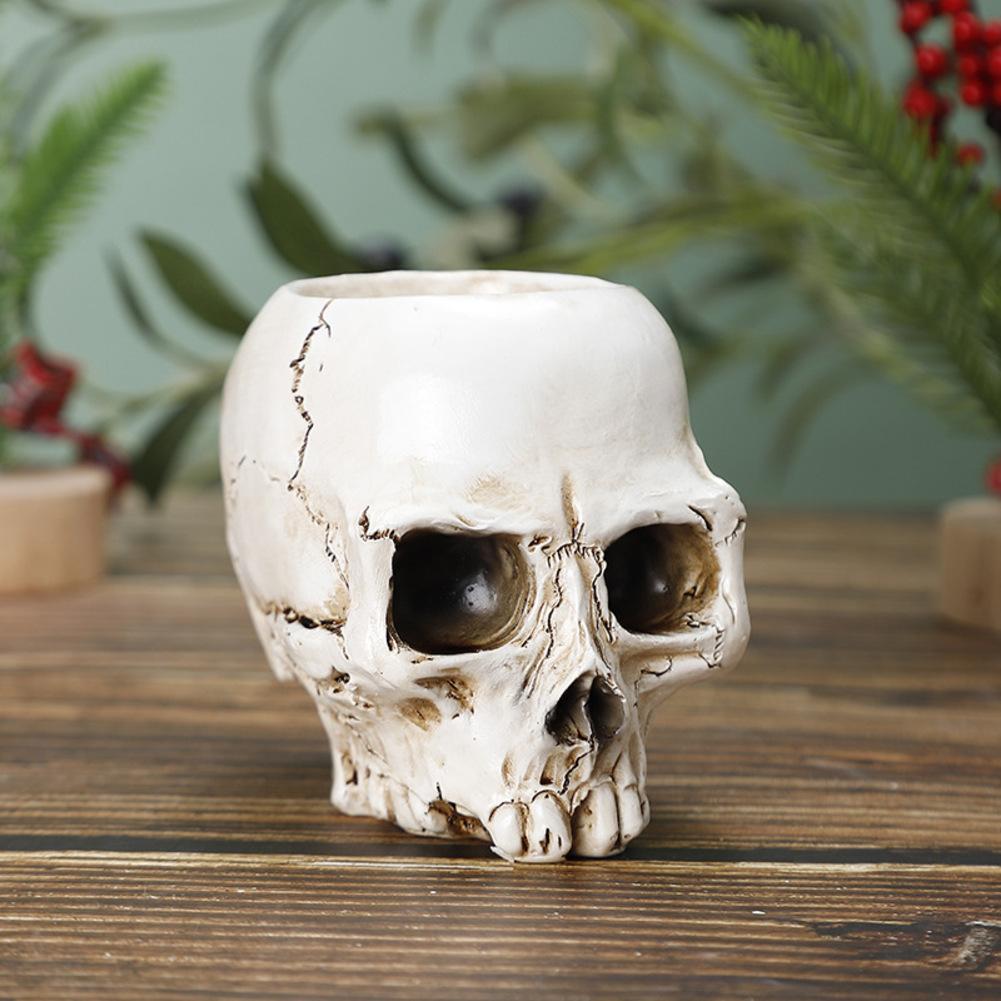 Resin Skull Candy Dish with Lid Multifunctional Storage Container for Home Office Decor for Halloween and Daily Use China Mainland
Resin Skull Candy Dish with Lid Multifunctional Storage Container for Home Office Decor for Halloween and Daily Use China Mainland