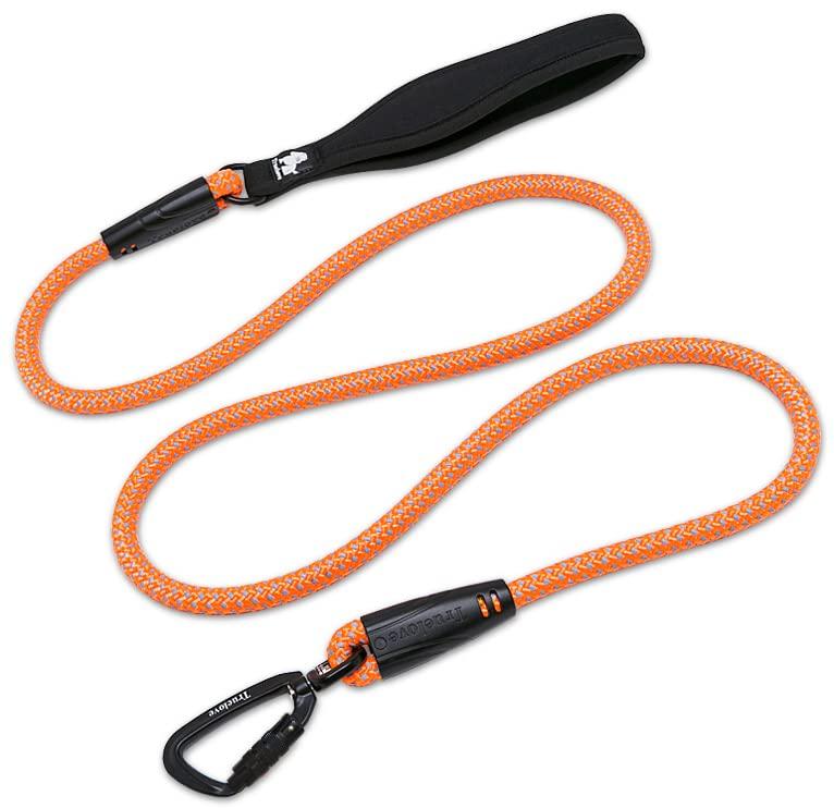 cocomall Dog Training Leash for and Large Long Pet 3M Reflective Breathable Leash, Small, Medium, Dogs, Leash, Supplies, Material, Nylon, (Orange) оранжевый
cocomall Dog Training Leash for and Large Long Pet 3M Reflective Breathable Leash, Small, Medium, Dogs, Leash, Supplies, Material, Nylon, (Orange) оранжевый