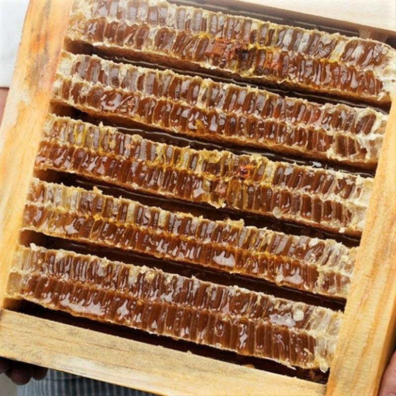 Jeonbuk Wanju spec honeycomb honey 1.8kg paper box for antique furniture gifts beeswax straight from the source honeycomb, 1.8k..., 1 unit
Jeonbuk Wanju spec honeycomb honey 1.8kg paper box for antique furniture gifts beeswax straight from the source honeycomb, 1.8k..., 1 unit