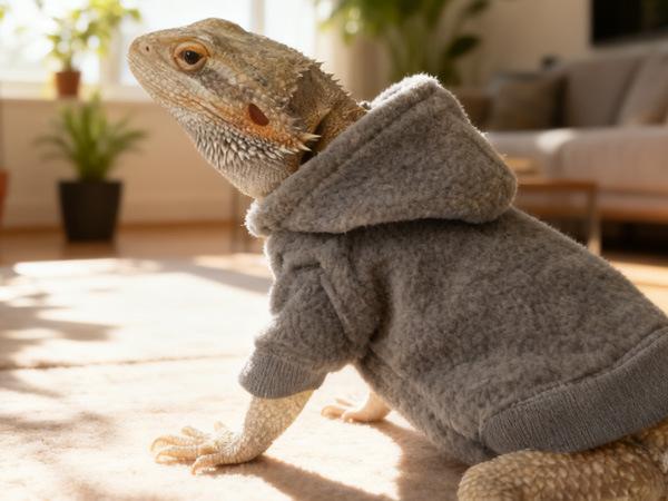 Lizard clothes, hoodie T-shirt, climbing pet going out to transform, lizard walking, pet clothing серый
Lizard clothes, hoodie T-shirt, climbing pet going out to transform, lizard walking, pet clothing серый