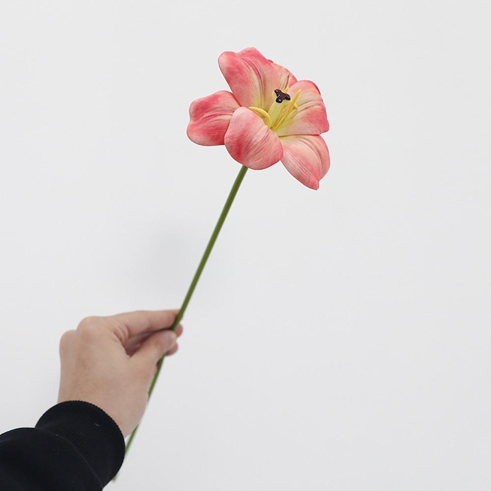 5 шт. букет симуляции тюльпанов с эффектом реального прикосновения, реалистичные искусственные тюльпаны, декор для дома, гостиной темно-розовый
5 шт. букет симуляции тюльпанов с эффектом реального прикосновения, реалистичные искусственные тюльпаны, декор для дома, гостиной темно-розовый