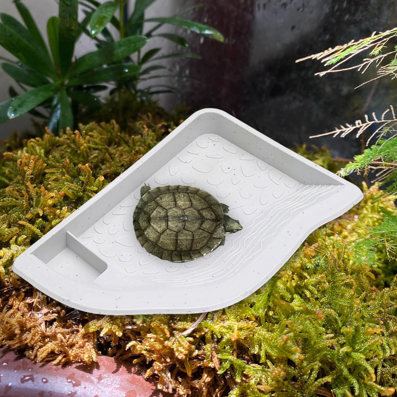 Aquarium Water Dish for Reptiles with Ramp And Feeding Area for Tortoise, Gecko, Snake білий
Aquarium Water Dish for Reptiles with Ramp And Feeding Area for Tortoise, Gecko, Snake білий