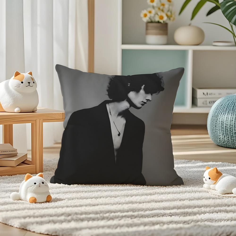 Singer Sombr Pillow Case Silky Elegant Comfort Sofa Bed Invisible Zipper 30cmx30cm
Singer Sombr Pillow Case Silky Elegant Comfort Sofa Bed Invisible Zipper 30cmx30cm