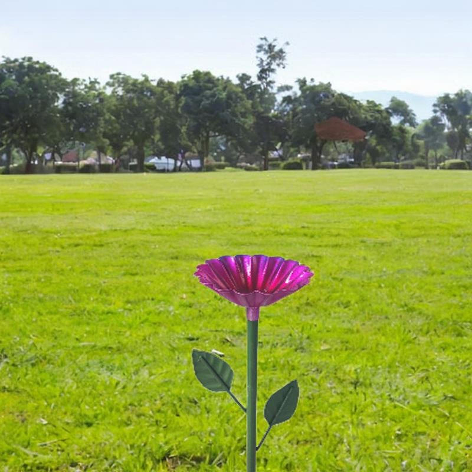 Кормушка для птиц из железа, простая установка, простая станция кормления, аксессуар для садового патио розовый
Кормушка для птиц из железа, простая установка, простая станция кормления, аксессуар для садового патио розовый