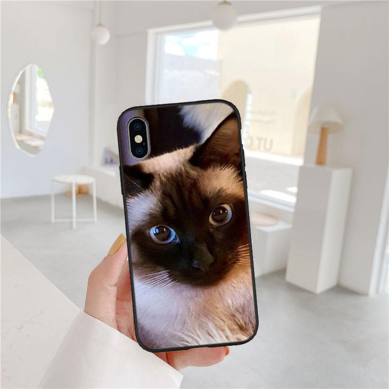 PP22 Cute Siamese Cat Soft Shell Phone Case for OPPO A3 Pro A72 A74 A76 A77 A77S A78 A79 A94 A95 A18 A40M A58 OPPO A95 5G
PP22 Cute Siamese Cat Soft Shell Phone Case for OPPO A3 Pro A72 A74 A76 A77 A77S A78 A79 A94 A95 A18 A40M A58 OPPO A95 5G