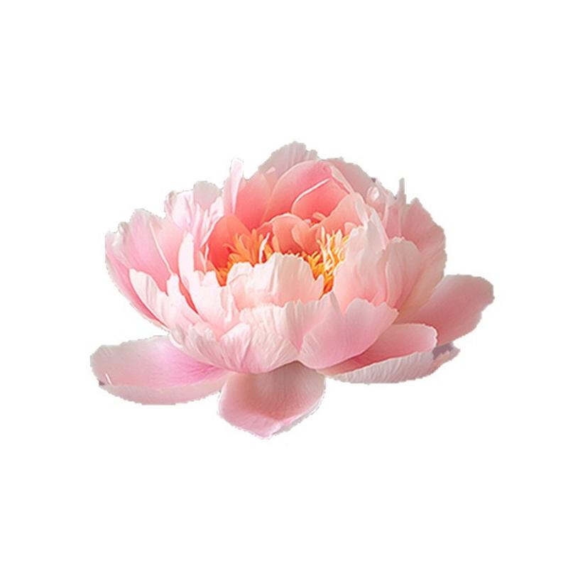 Luminous Peony Toilet Sticker Creative Dream Pattern Self-adhesive PVC Wall Decal For Bathroom Waterproof Luminous Decoration
Luminous Peony Toilet Sticker Creative Dream Pattern Self-adhesive PVC Wall Decal For Bathroom Waterproof Luminous Decoration
