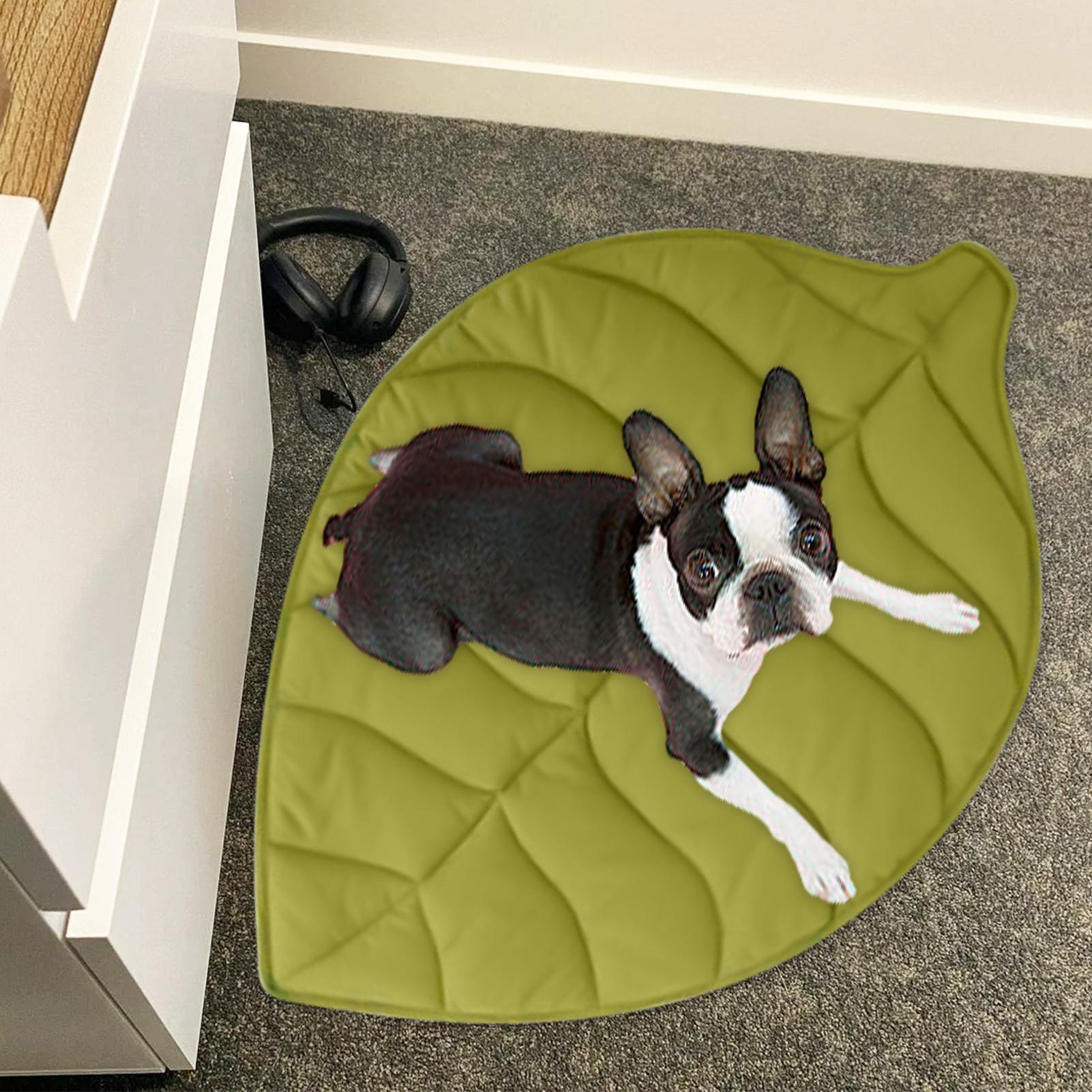 Cooling Dog Mat Cat Cooling Mat Leaves Shape Bed Blanket Non-Slip Portable Washable for Indoor Outdoor Pool Crate Beach Camping China Mainland
Cooling Dog Mat Cat Cooling Mat Leaves Shape Bed Blanket Non-Slip Portable Washable for Indoor Outdoor Pool Crate Beach Camping China Mainland