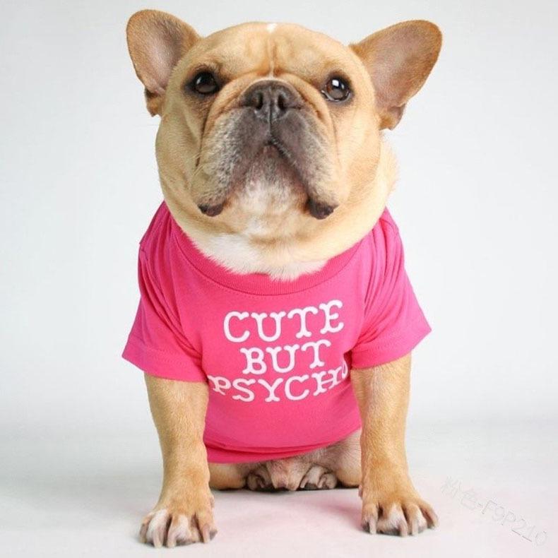 Panda Dog T-shirt for French Bulldogs, Pugs, Shar Peis & Medium Dogs 2X Large
Panda Dog T-shirt for French Bulldogs, Pugs, Shar Peis & Medium Dogs 2X Large