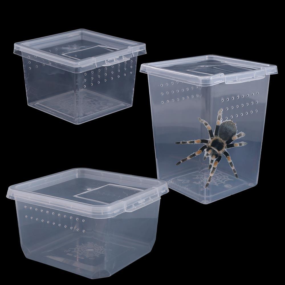 Transparent Household Hatching Tank Lizard Living Box Reptile Habitat Insect Feeding Box C
Transparent Household Hatching Tank Lizard Living Box Reptile Habitat Insect Feeding Box C