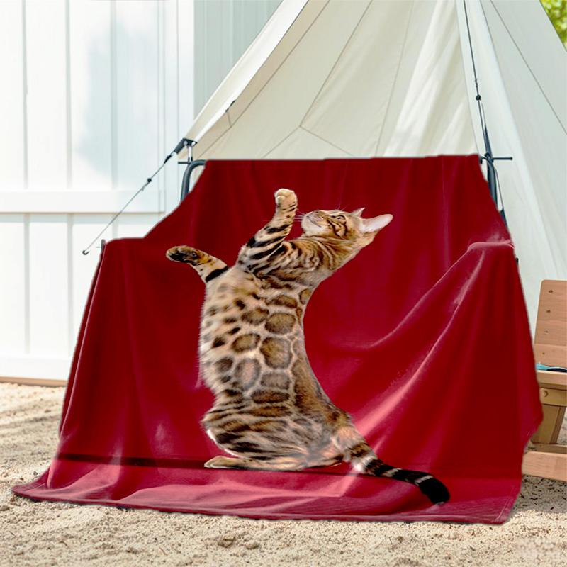 1pc Animals: rabbit, cat, pattern blanket, all season lightweight home office outdoor nap multifunctional blanket 80cm x 120cm
1pc Animals: rabbit, cat, pattern blanket, all season lightweight home office outdoor nap multifunctional blanket 80cm x 120cm