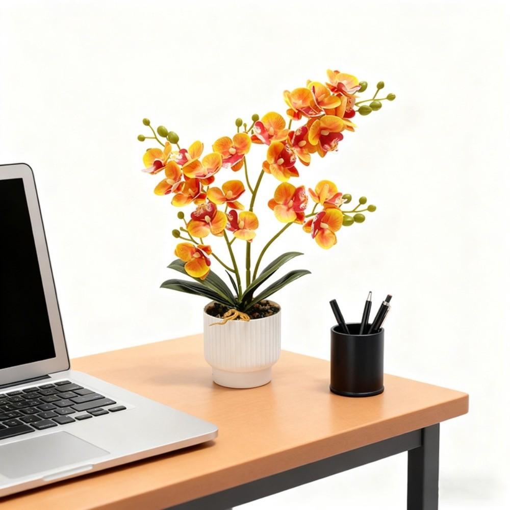 Multi-Bloom Simulated Butterfly Orchid White Flower Pot DIY Artificial Faux Plants Faux Flowers Plastic Fake Flower Home Decor
Multi-Bloom Simulated Butterfly Orchid White Flower Pot DIY Artificial Faux Plants Faux Flowers Plastic Fake Flower Home Decor