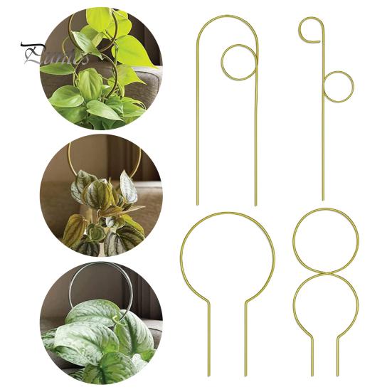 4Pcs Durable Sturdy Wrought Iron Plant Climbing Rack Small Garden Plant Trellis Flower Arrangement Holder Gardening Tool зелений
4Pcs Durable Sturdy Wrought Iron Plant Climbing Rack Small Garden Plant Trellis Flower Arrangement Holder Gardening Tool зелений