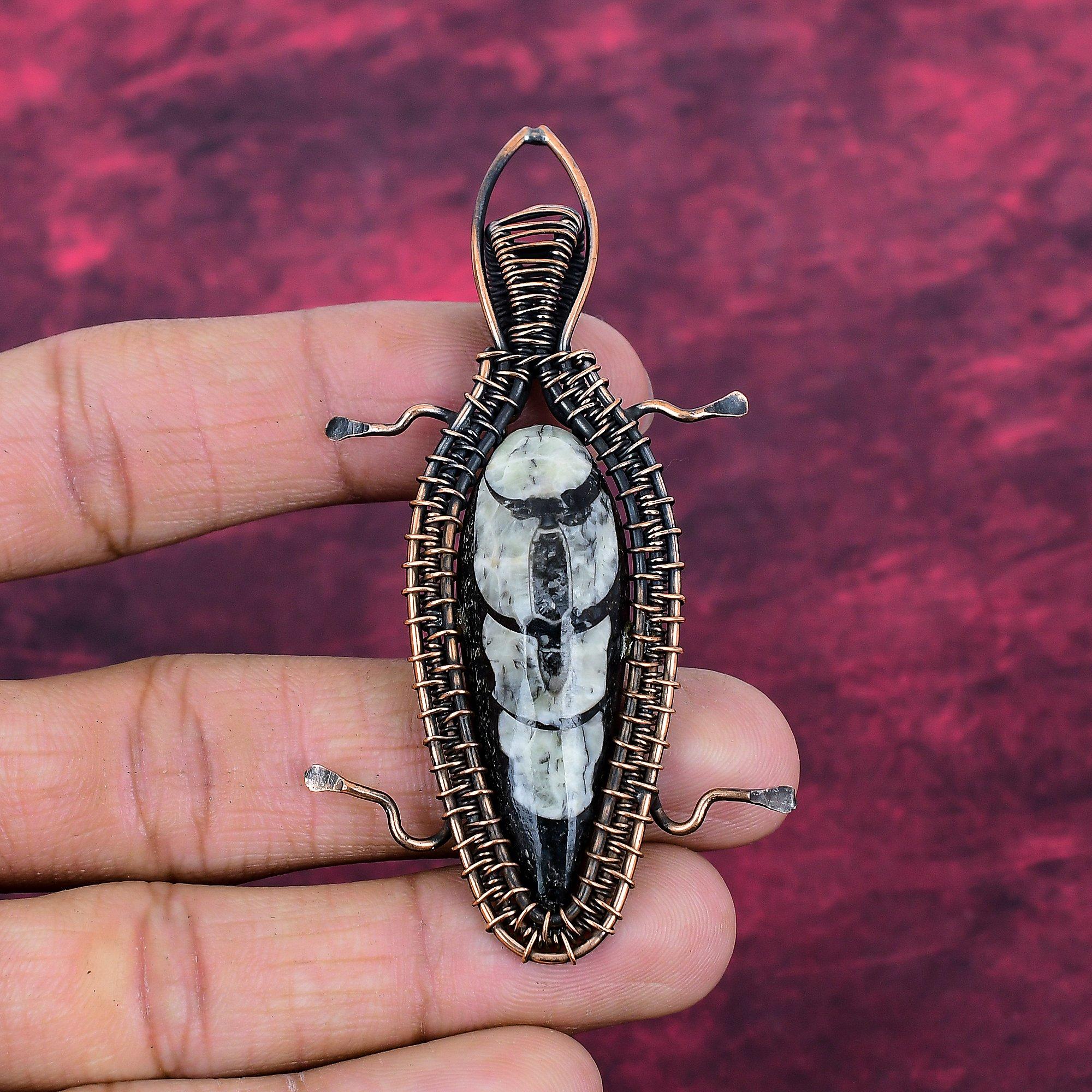 Orthoceras Fossil Pendant Copper Wire Wrapped Handmade Jewelry Gemstone Pendant
Orthoceras Fossil Pendant Copper Wire Wrapped Handmade Jewelry Gemstone Pendant