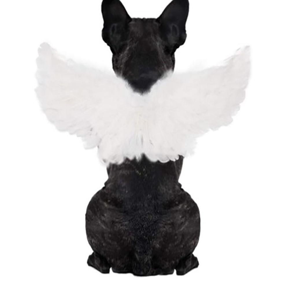 punk Dog & Cat Transformation Costume Felt Cloth Pet Angel Wings Small Dog Changing Outfit Cat
punk Dog & Cat Transformation Costume Felt Cloth Pet Angel Wings Small Dog Changing Outfit Cat