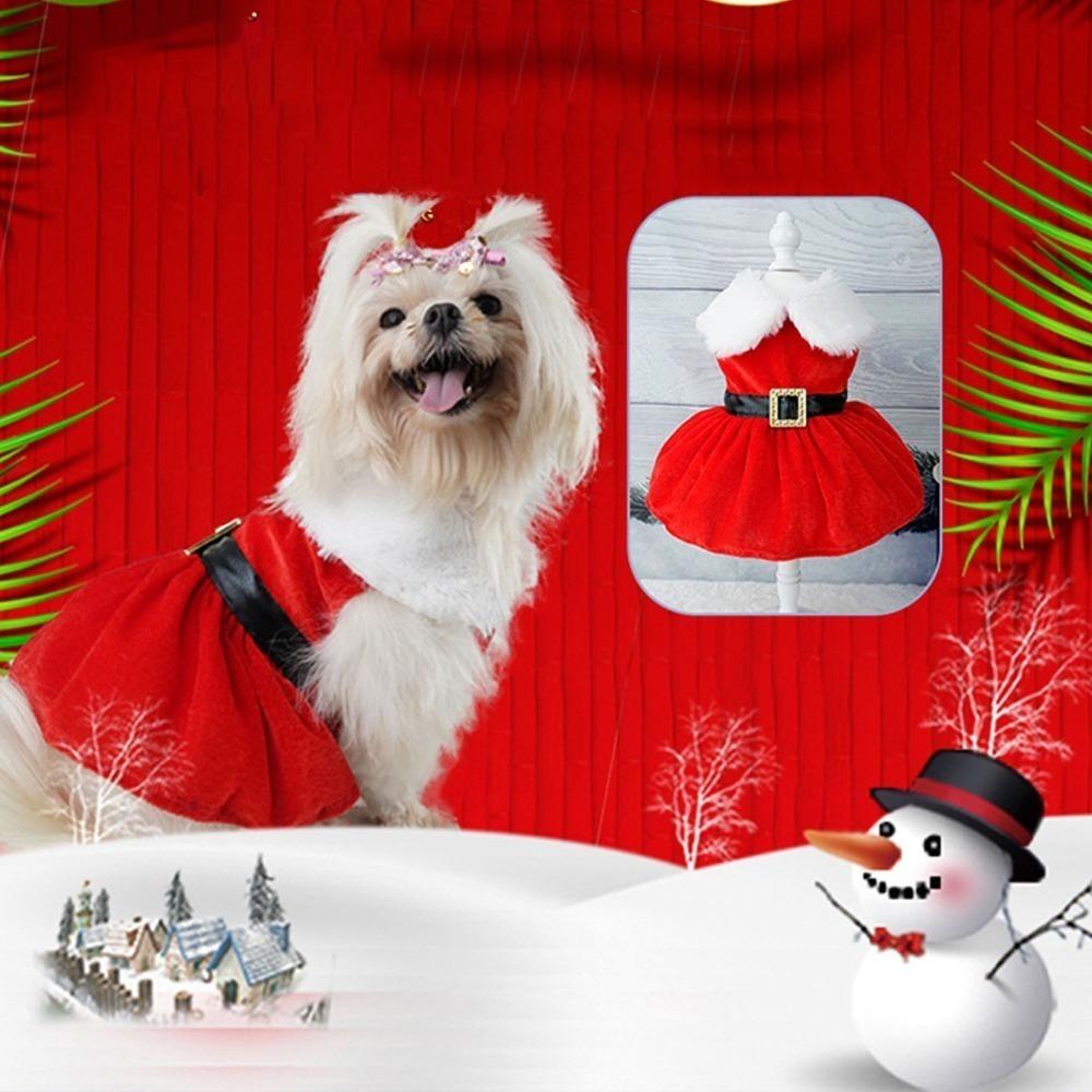 Warm Thick Lining Santa Dog Costume Adjustable Fit Winter Pet Apparel Family Holiday Photos M
Warm Thick Lining Santa Dog Costume Adjustable Fit Winter Pet Apparel Family Holiday Photos M