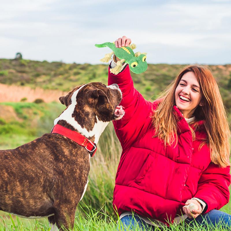Dog Squeaky Toys Interactive Stuffed Dog Toys Tear Resistant Durable Eco-Friendly Fluffy Funny Squeaky Plush Dog Toy Boredom
Dog Squeaky Toys Interactive Stuffed Dog Toys Tear Resistant Durable Eco-Friendly Fluffy Funny Squeaky Plush Dog Toy Boredom